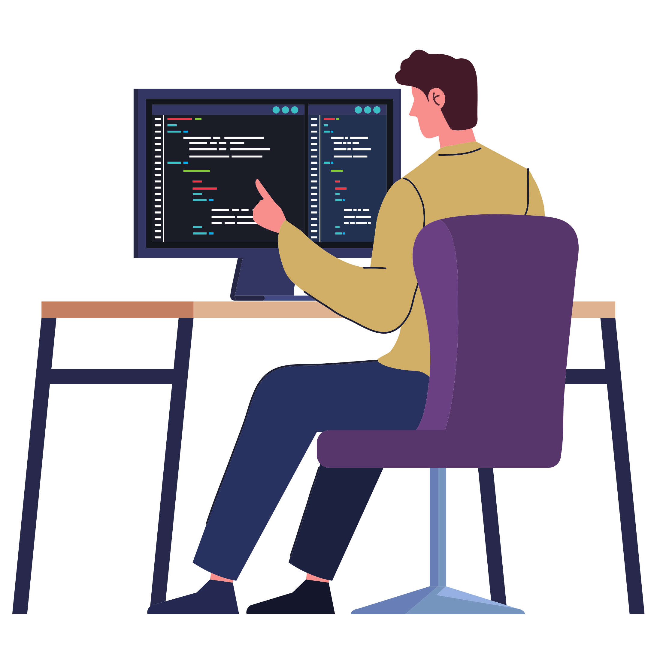 Web Developer